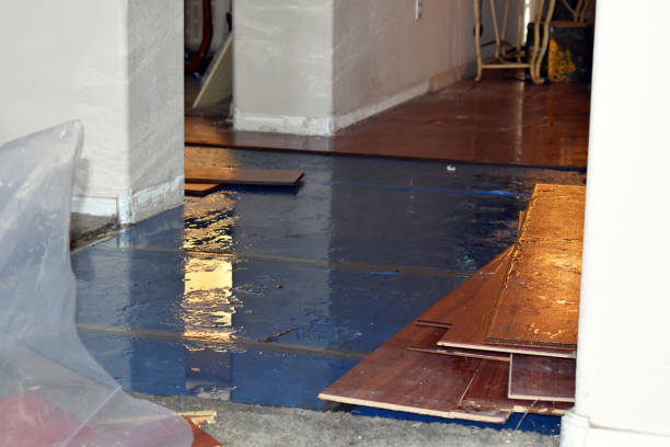 Professional Basement Flooding technician working in Salkum, WA